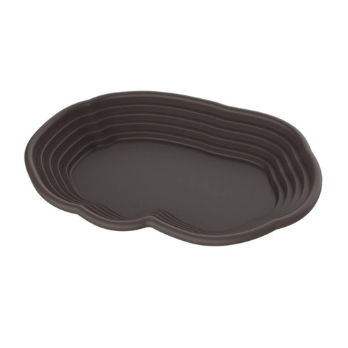 Reptile bathing pool tortoise - reptile,