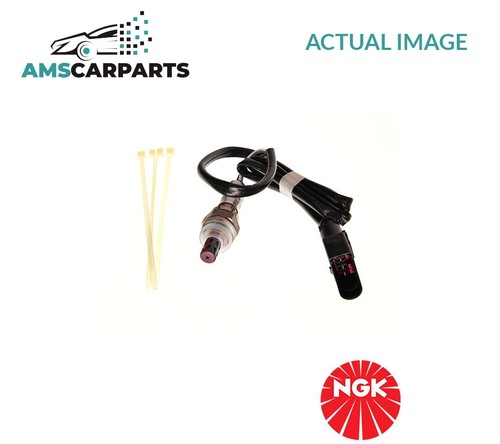Lambda oxygen sensor in - oxygen,