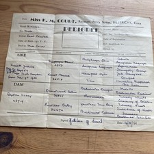 1951 Cat Pedigree Certificate