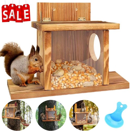 Carbonized wood squirrel - wood,