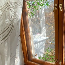 Bird Green Green Leaf Bird