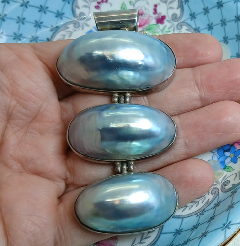 Vintage large nautilus shell - nautilus,