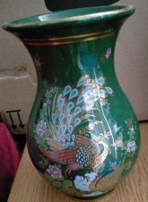 Beautiful  Green Peacock