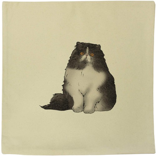 40cm persian cat - 40cm,