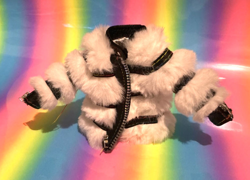 Rainbow high lyric lucas - rainbow,