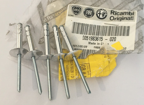 Genuine fiat rivet - x5,