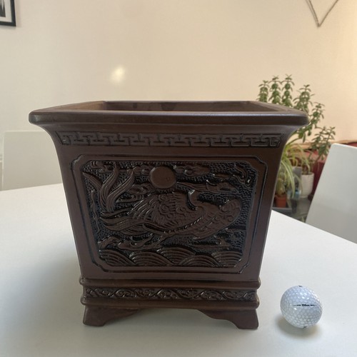 Large bonsai pot - bonsai,