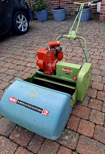 Hayter ambassador - hayter,
