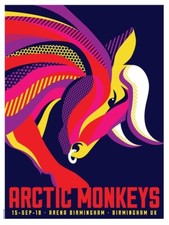 Arctic monkeys birmingham 2018 - arctic,
