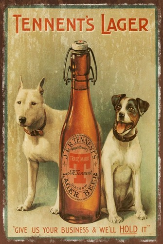 Tennent lager beer - beer, dogs