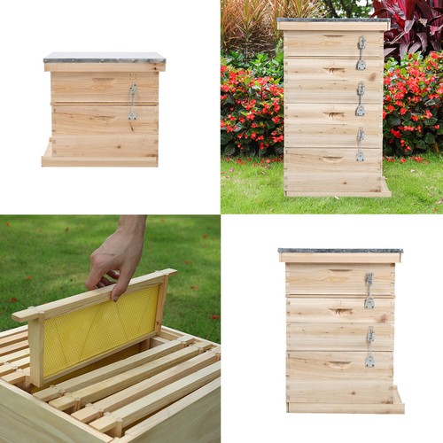 Langstroth beehive box - beehive,