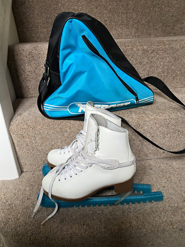 Jackson glacier 520 figure - 520,