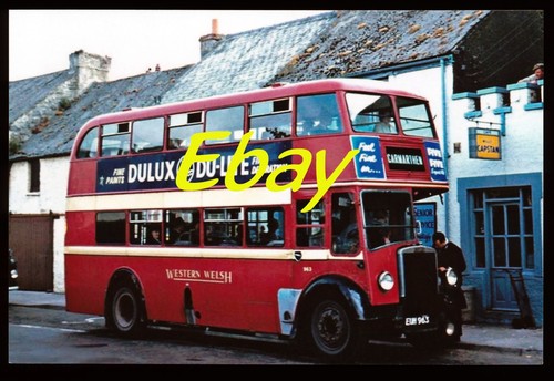 Bus photo leyland - leyland,, western