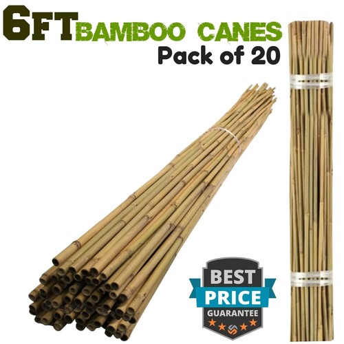 6ft thick bamboo canes heavy - 6ft,