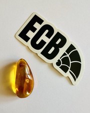 Baltic Amber with Mosquito