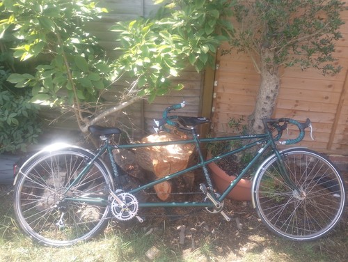 Dawes galaxy tandem pilot - galaxy,