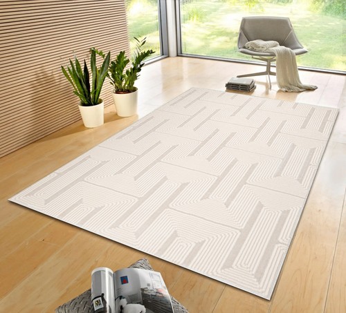 Large living room rugs non - large,