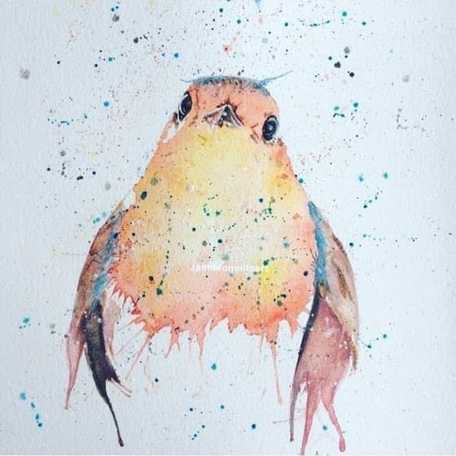 Watercolour robin size - watercolour, a3