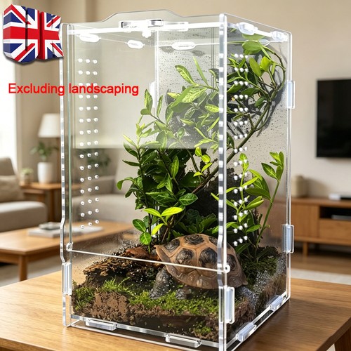 Jumping spider enclosure - spider,