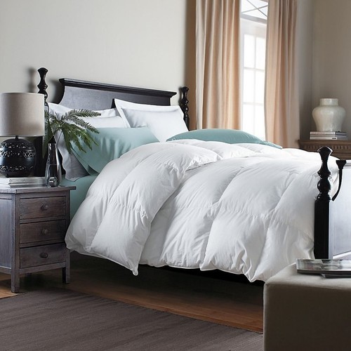 Goose feather down - ,
