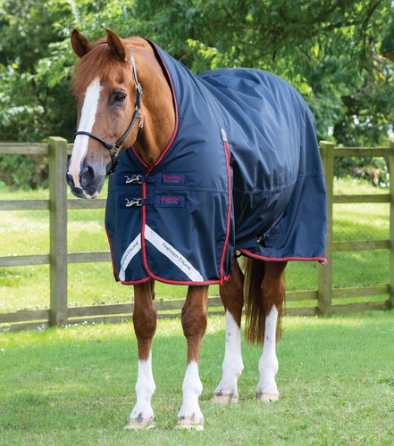 Premier equine buster hardy - buster,