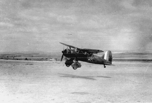 Westland lysander aviation - westland,
