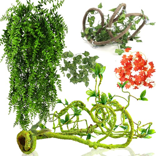 Grddaef reptile vines plants - grddaef,