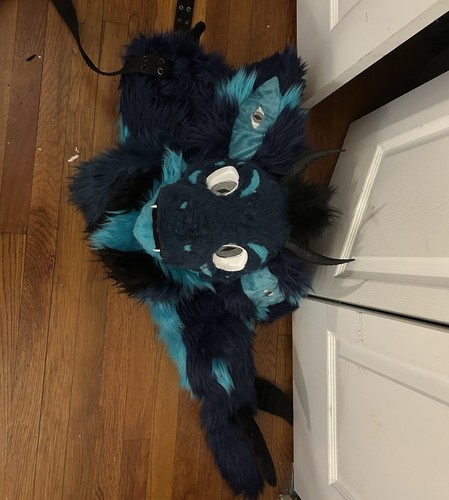 Fursuit head and super-motion