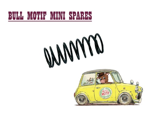 Classic mini bonnet - spring,