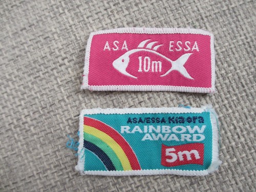Vintage patch asa essa - vintage,