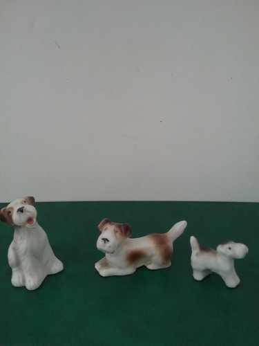 Three fox terrier dogs - three,