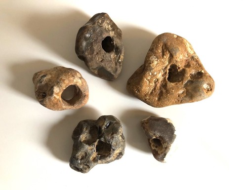 5pcs natural brown hag - 5pcs, stones