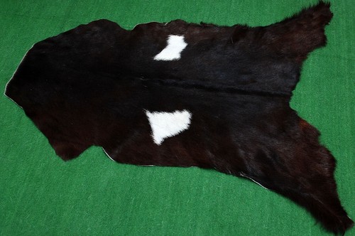 Genuine goat hide hair - hide, on