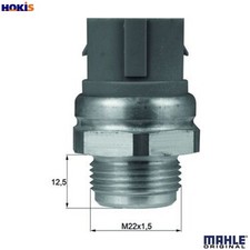 TEMPERATURE SWITCH RADIATOR