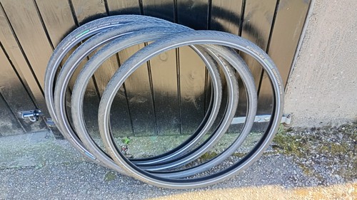 Job lot schwalbe marathon plus - job,