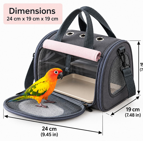 New small bird - small, pet
