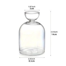 For Growing Plant Glass Seed