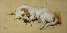 Original art - Oil painting - yellow Labrador dog - portrait by j payne