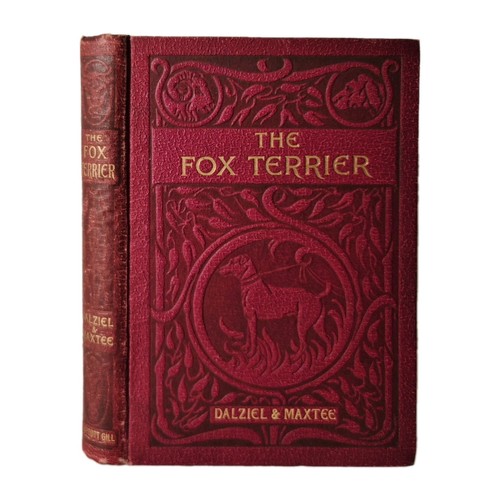 The fox terrier - the, and