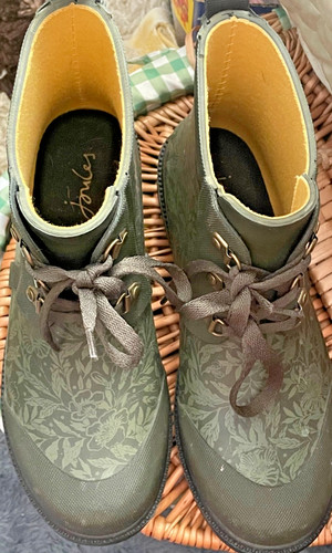 Womens joules wellington size - womens,