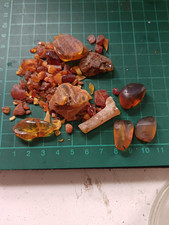 Baltic Amber 4 Colours Unpolished/Polished Including 3 Polished  With Inclusions