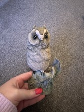 Teviotdale Scotland Owl