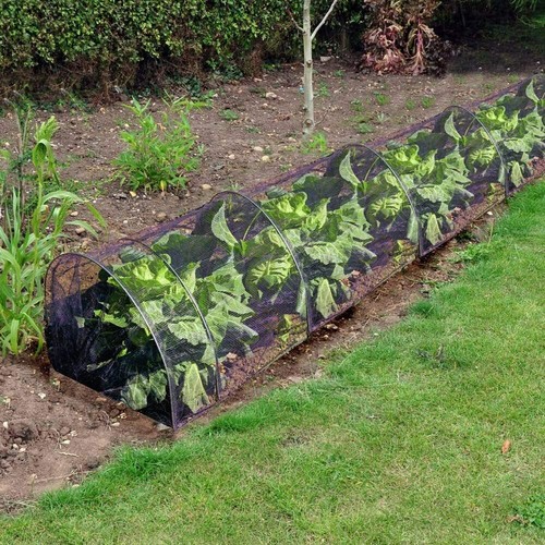 Grow tunnel net plant - tunnel,