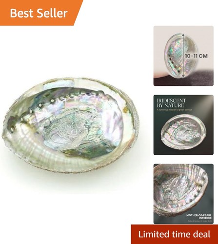 Unique iridescent abalone - unique,