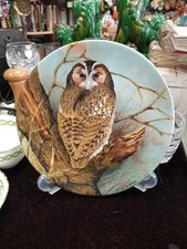 Coalport Long Eared Owl by