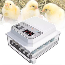 12 Egg Incubator with Humidity