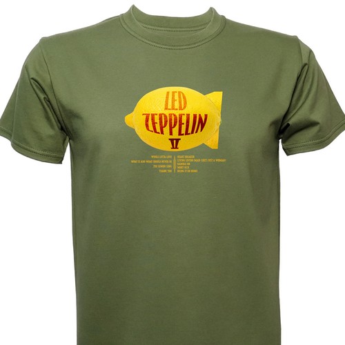Led zeppelin tribute - led,