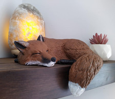 Sleeping Fox Shelf Sleeper