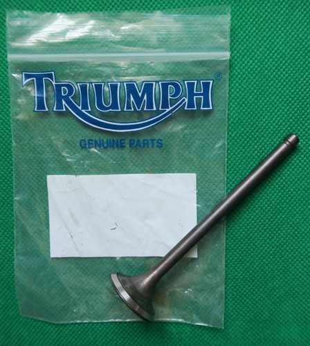 Triumph daytona legend - legend, tt