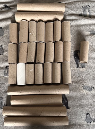 Toilet roll kitchen - toilet,